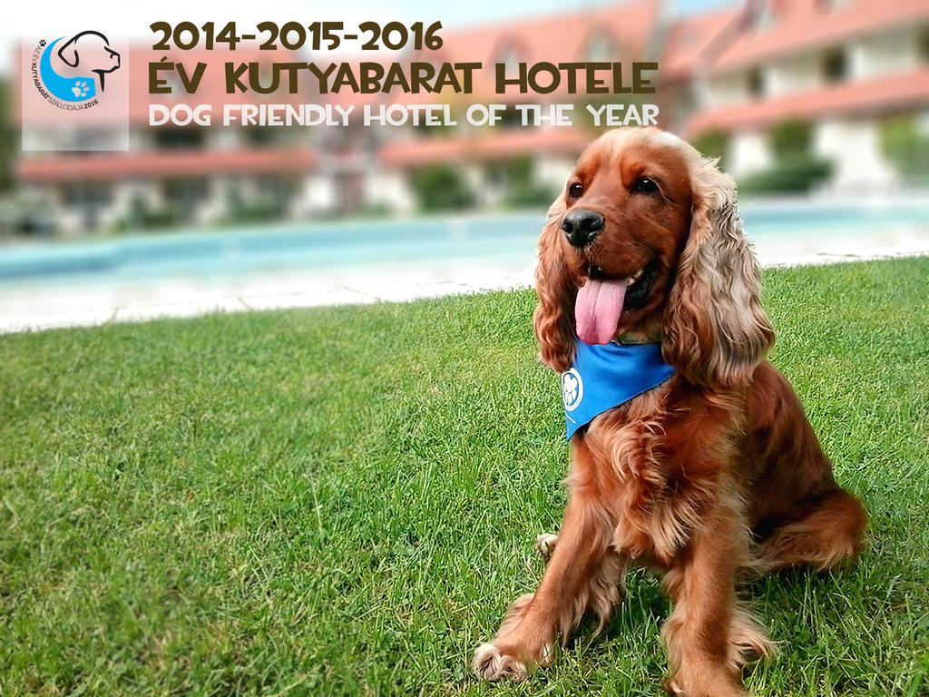 Abbazia Country Club 호텔 네메스넵 외부 사진