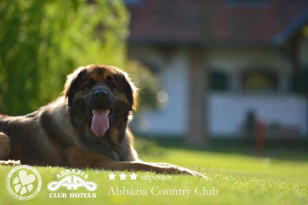 Abbazia Country Club 호텔 네메스넵 외부 사진